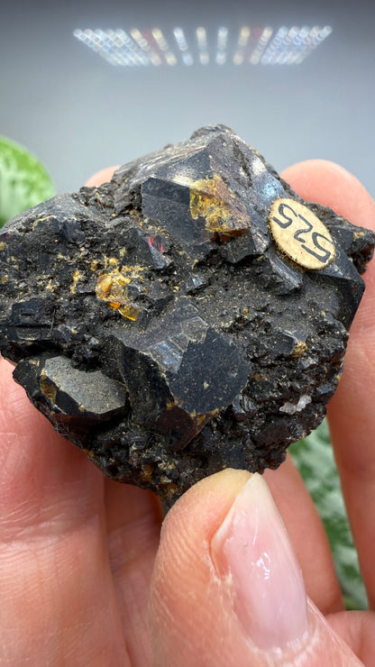 Sphalerite (Ruby Jack)- Joplin, Tri-State District, Missouri, USA