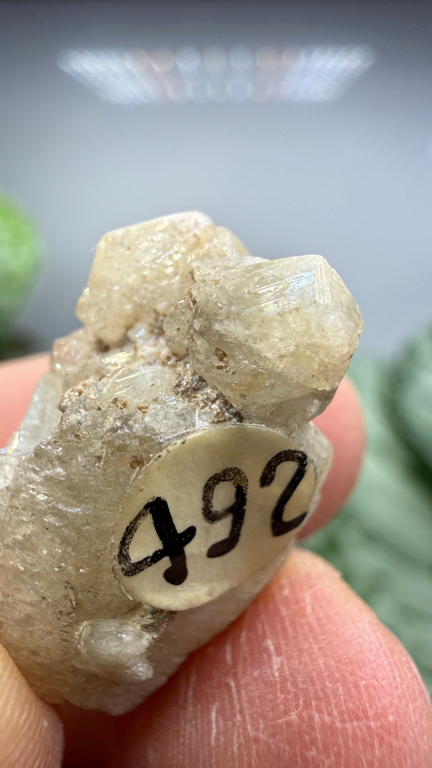 Hydroxylherderite- Poland, Maine