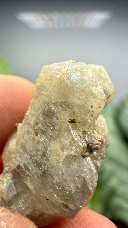 Hydroxylherderite- Poland, Maine