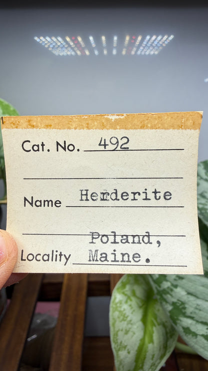 Hydroxylherderite- Poland, Maine