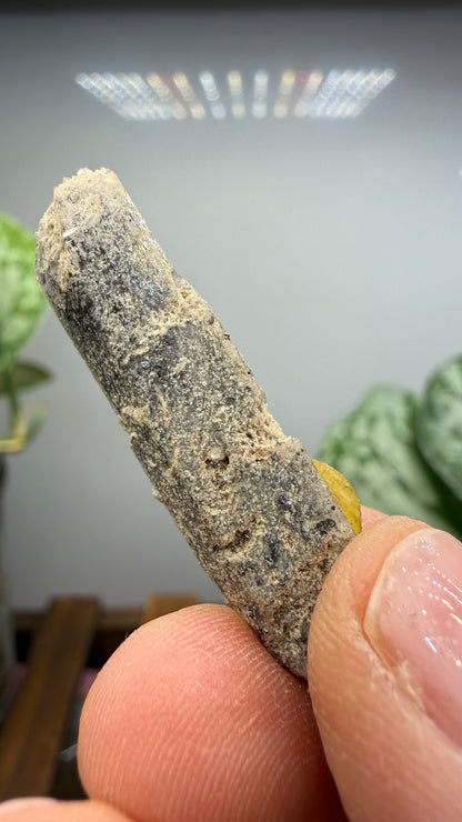 Bixbyite-(Mn)- Thomas Range, Juab County, Utah