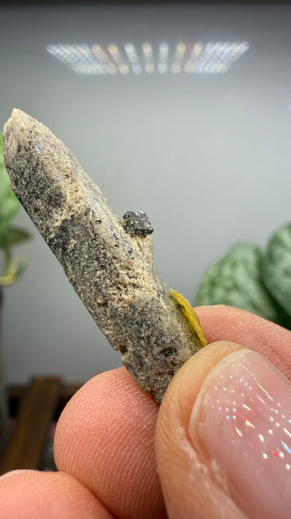 Bixbyite-(Mn)- Thomas Range, Juab County, Utah