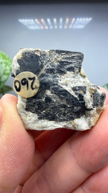 Columbite- Keystone Mining District, Pennington County, South Dakota, USA