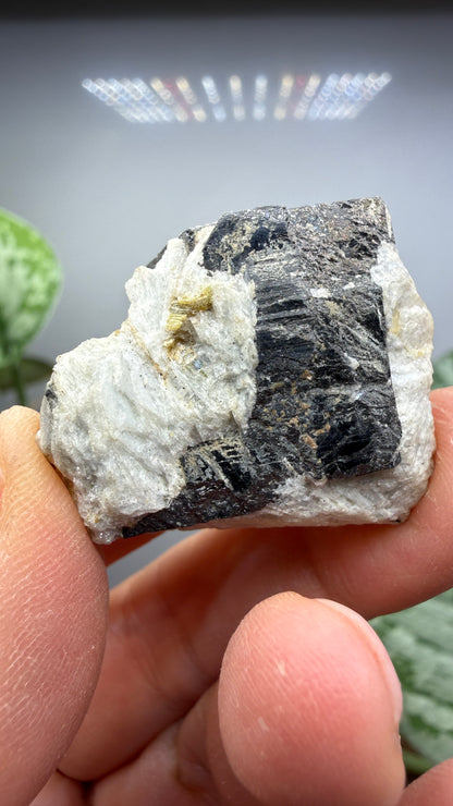 Columbite- Keystone Mining District, Pennington County, South Dakota, USA