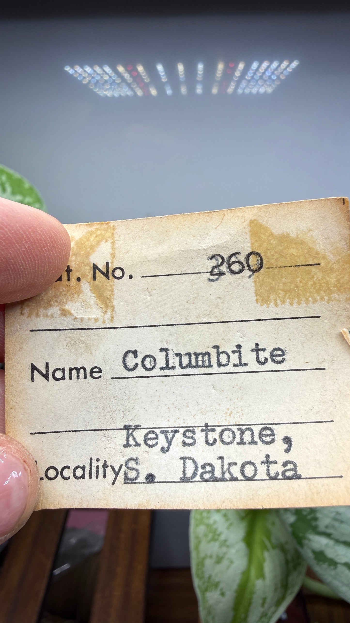 Columbite- Keystone Mining District, Pennington County, South Dakota, USA
