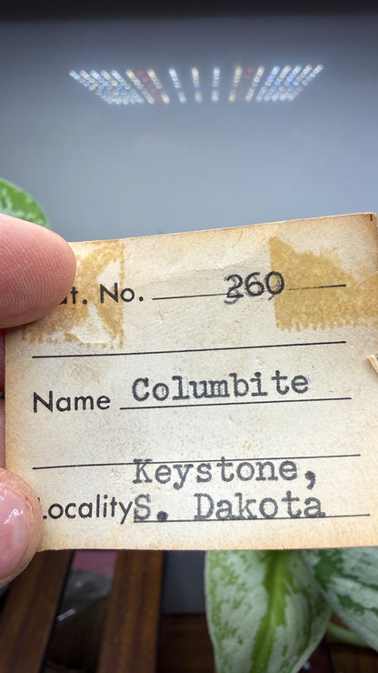 Columbite- Keystone Mining District, Pennington County, South Dakota, USA