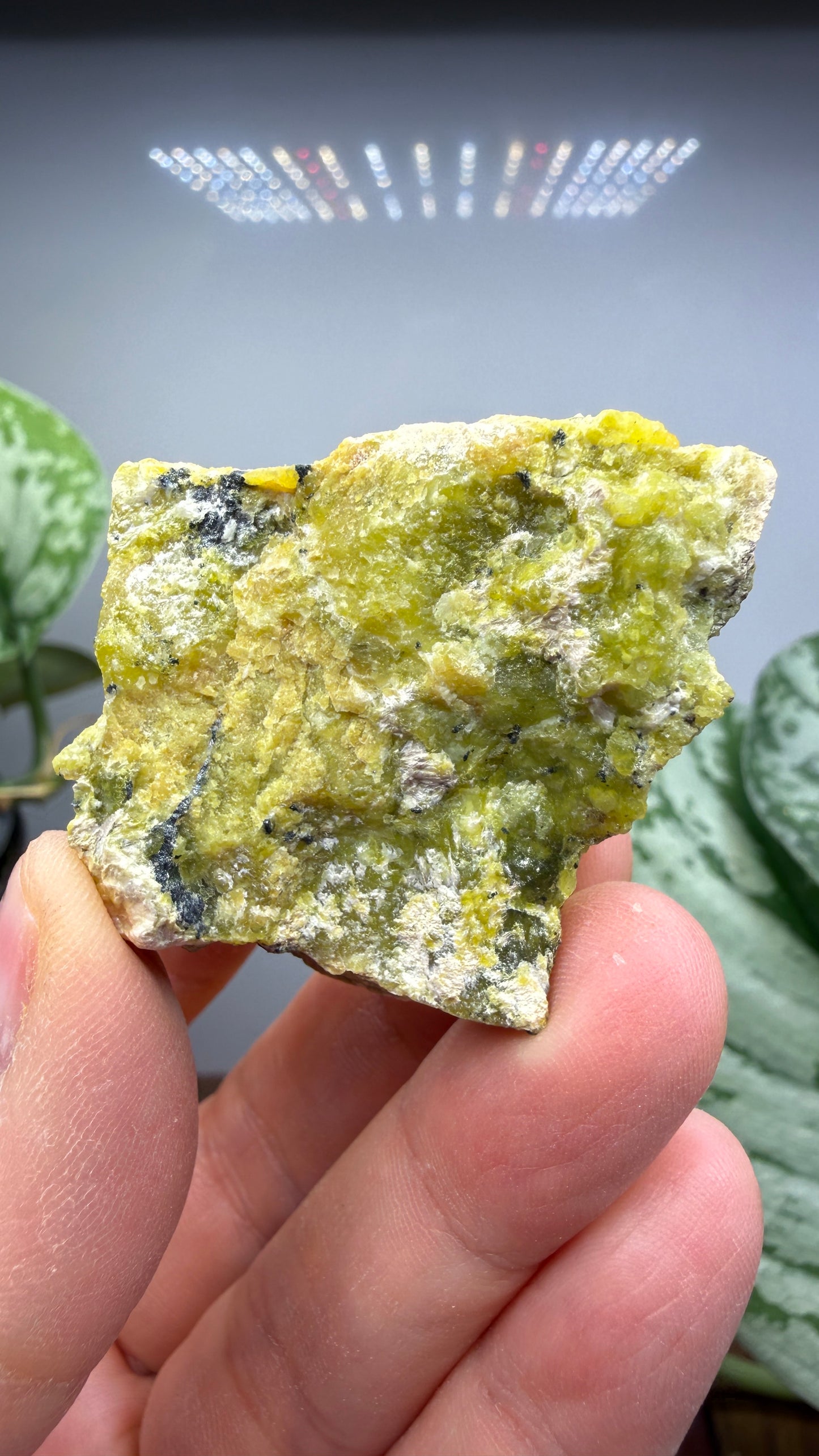 Serpentine with Ilmenite- Snarum, Modum, Buskerud, Norway