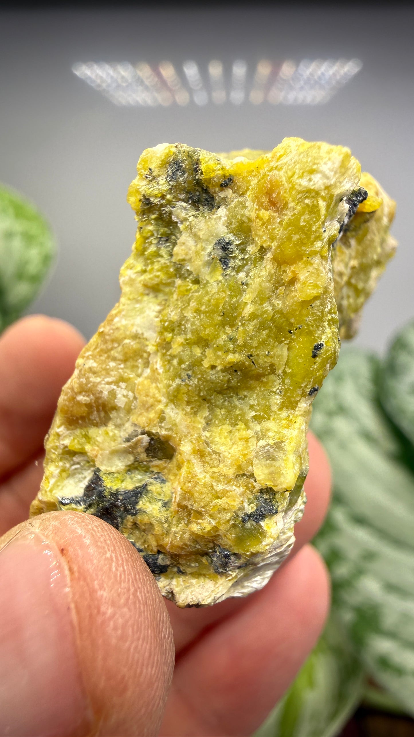 Serpentine with Ilmenite- Snarum, Modum, Buskerud, Norway