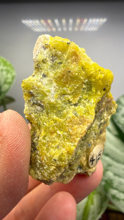 Serpentine with Ilmenite- Snarum, Modum, Buskerud, Norway