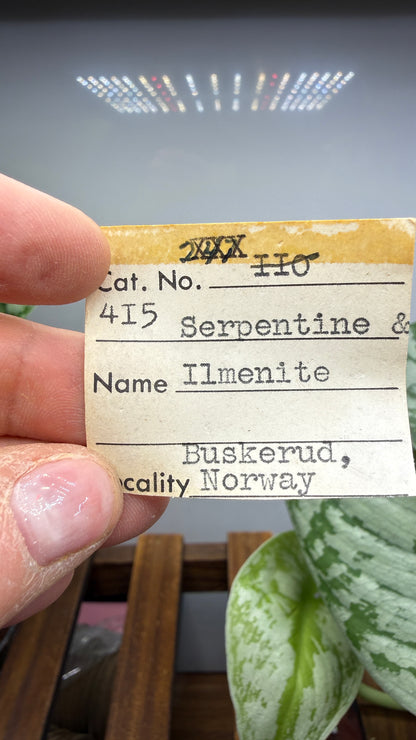 Serpentine with Ilmenite- Snarum, Modum, Buskerud, Norway
