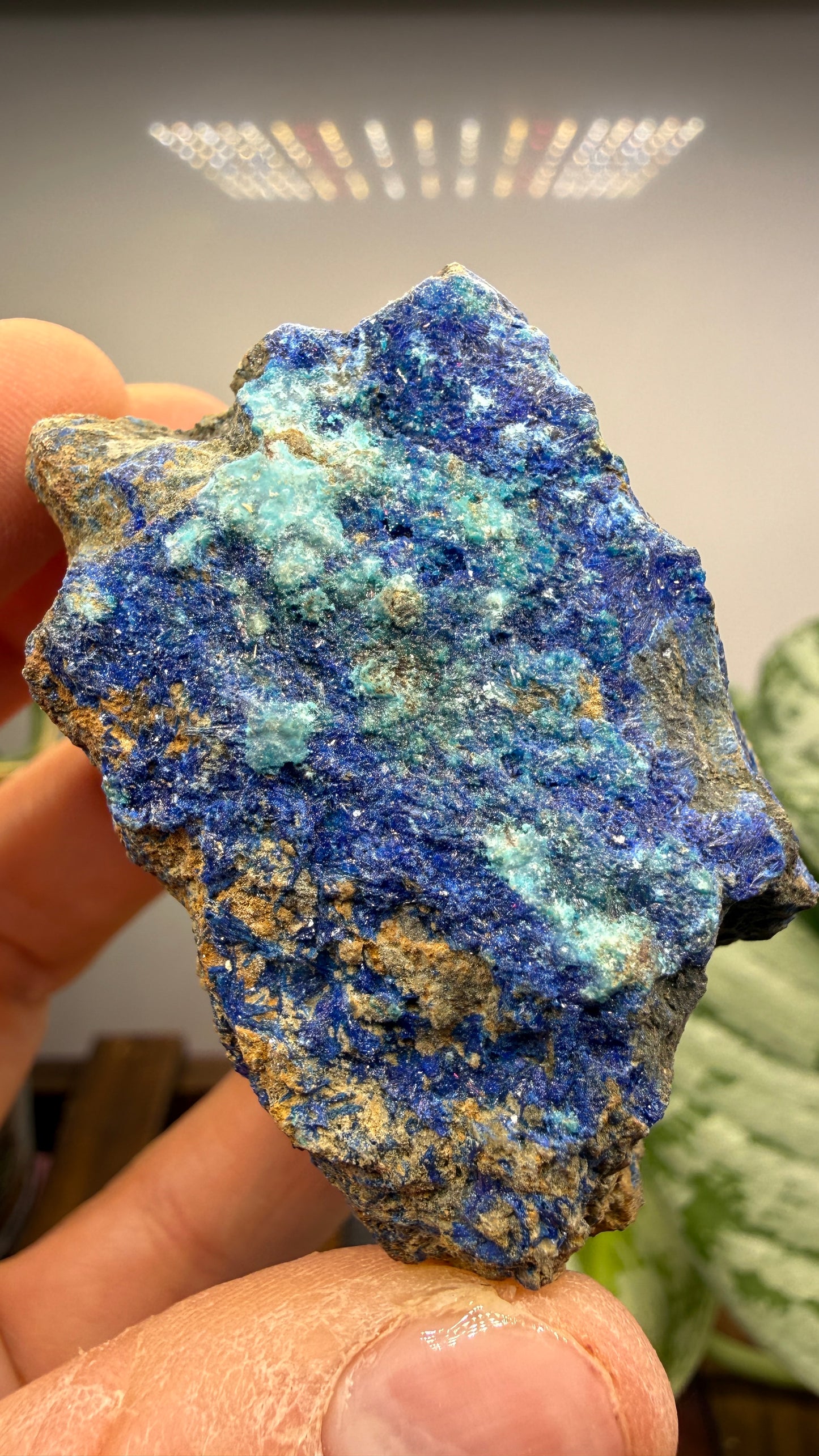Azurite with Malachite- California