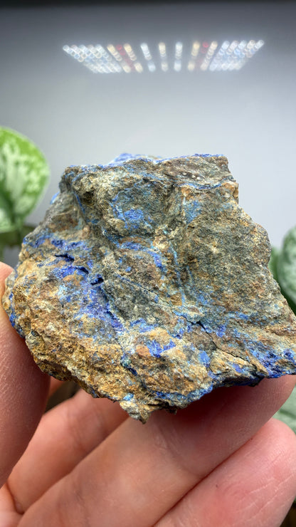Azurite with Malachite- California