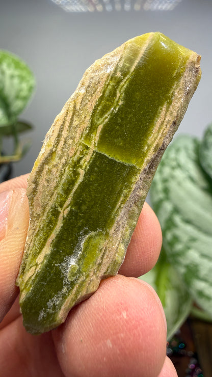Banded Serpentine (Historical: Ricolite)- California