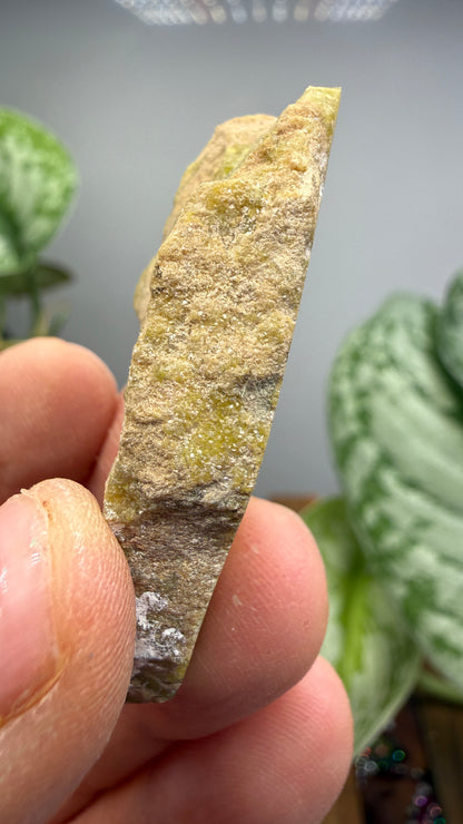 Banded Serpentine (Historical: Ricolite)- California