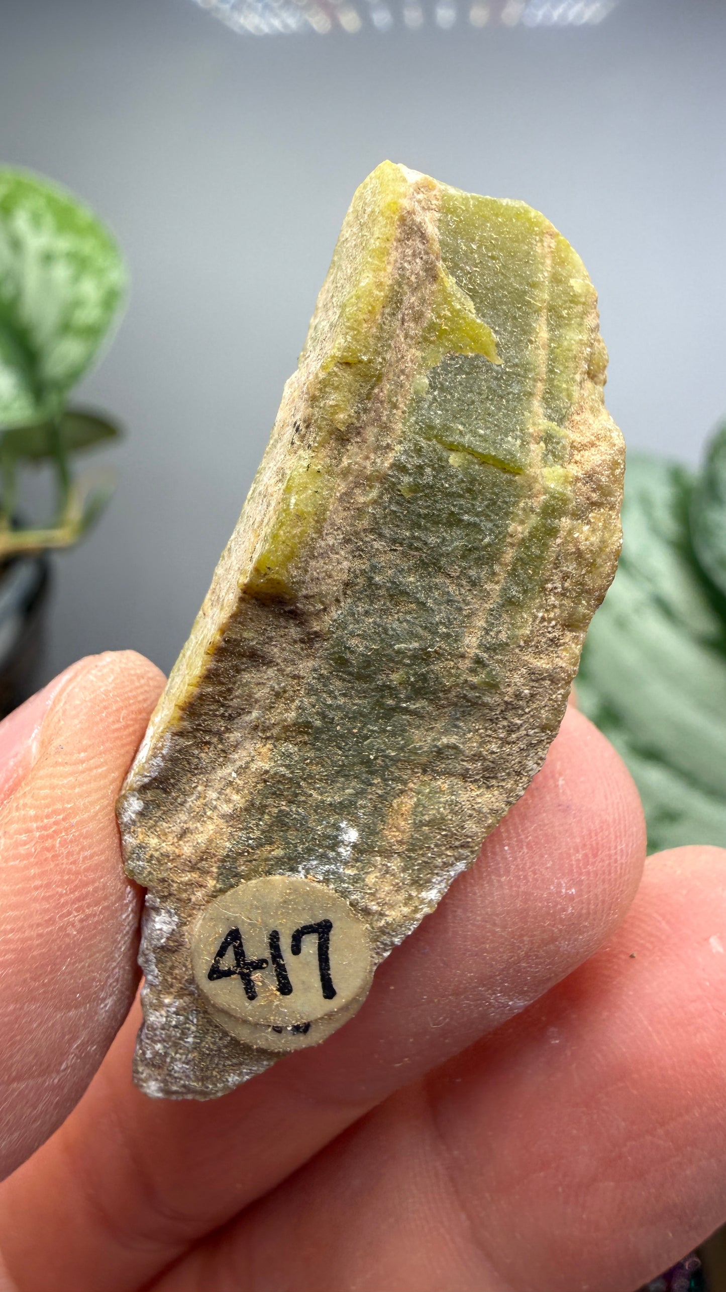 Banded Serpentine (Historical: Ricolite)- California