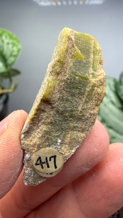 Banded Serpentine (Historical: Ricolite)- California