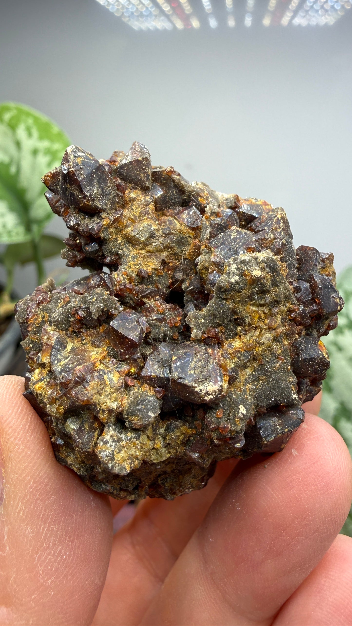 Sphalerite (Ruby Jack)- Tri-State District, Missouri, USA