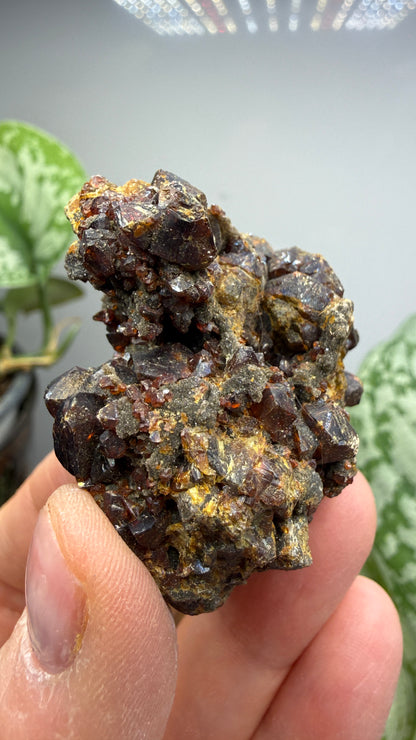 Sphalerite (Ruby Jack)- Tri-State District, Missouri, USA