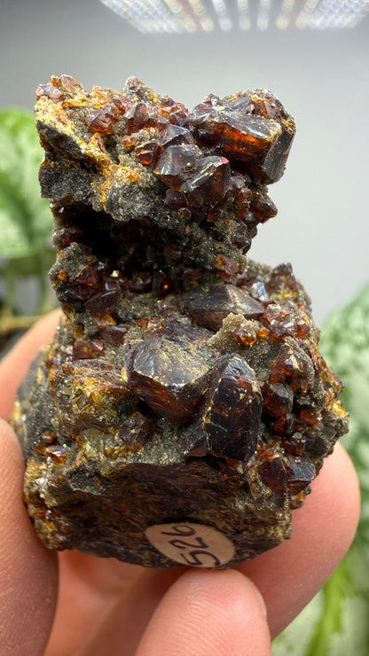 Sphalerite (Ruby Jack)- Tri-State District, Missouri, USA