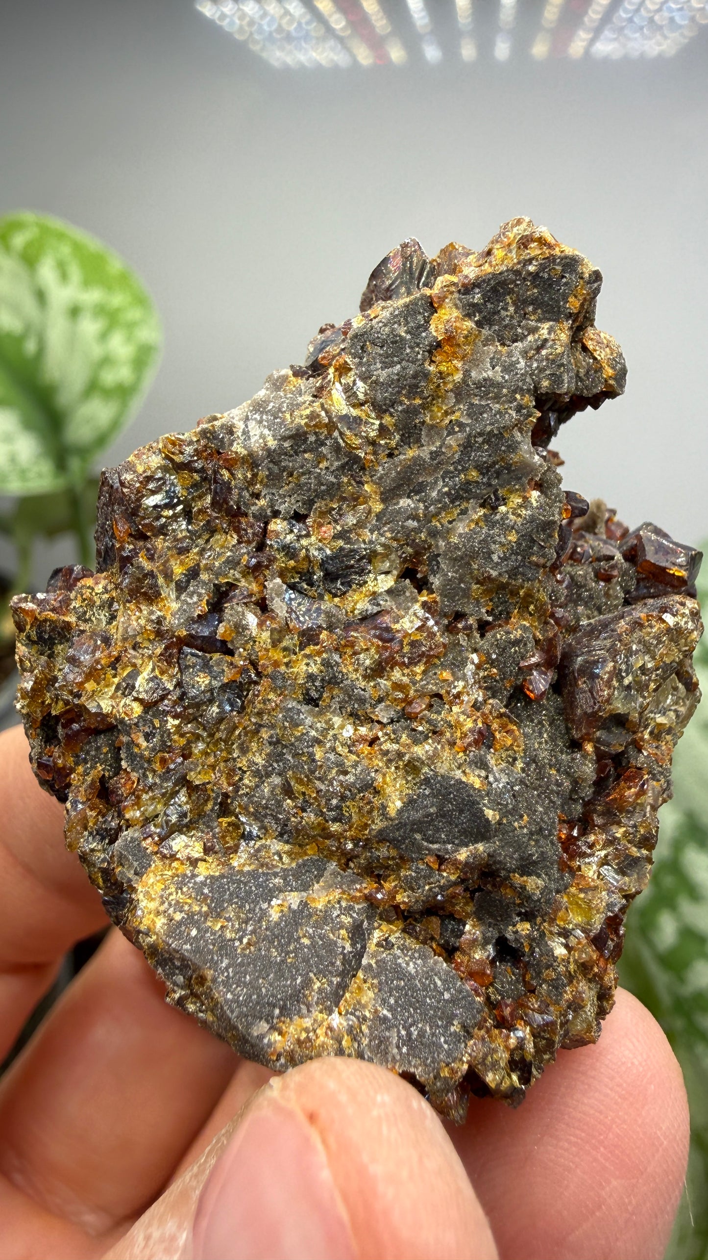 Sphalerite (Ruby Jack)- Tri-State District, Missouri, USA