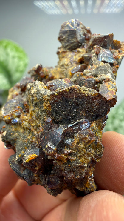 Sphalerite (Ruby Jack)- Tri-State District, Missouri, USA