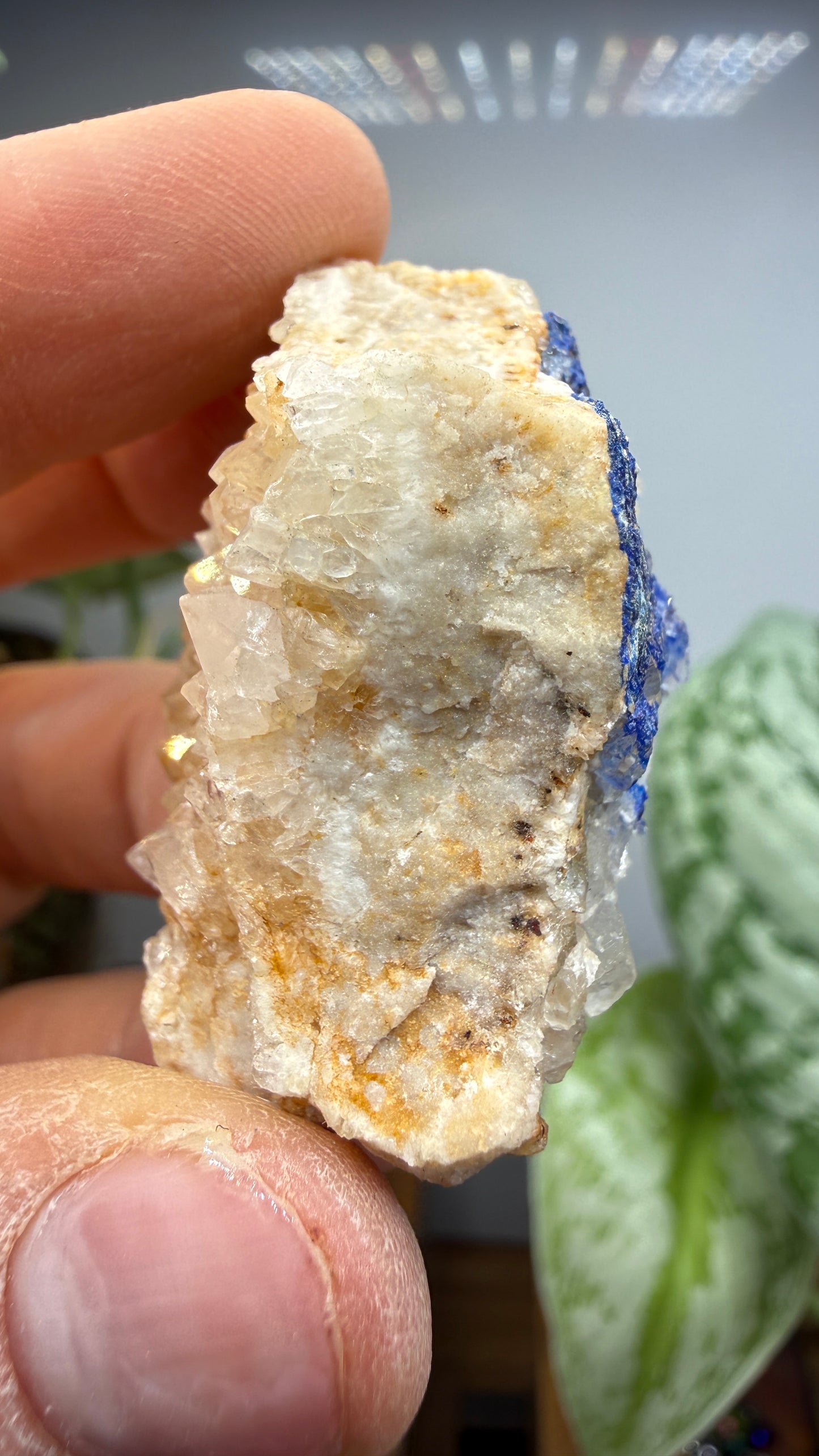 Linarite- Bingham, Hansonburg District, Socorro County, New Mexico, USA
