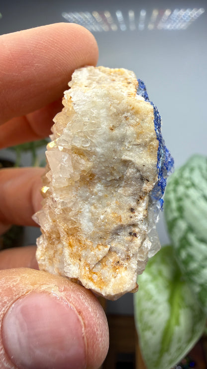 Linarite- Bingham, Hansonburg District, Socorro County, New Mexico, USA