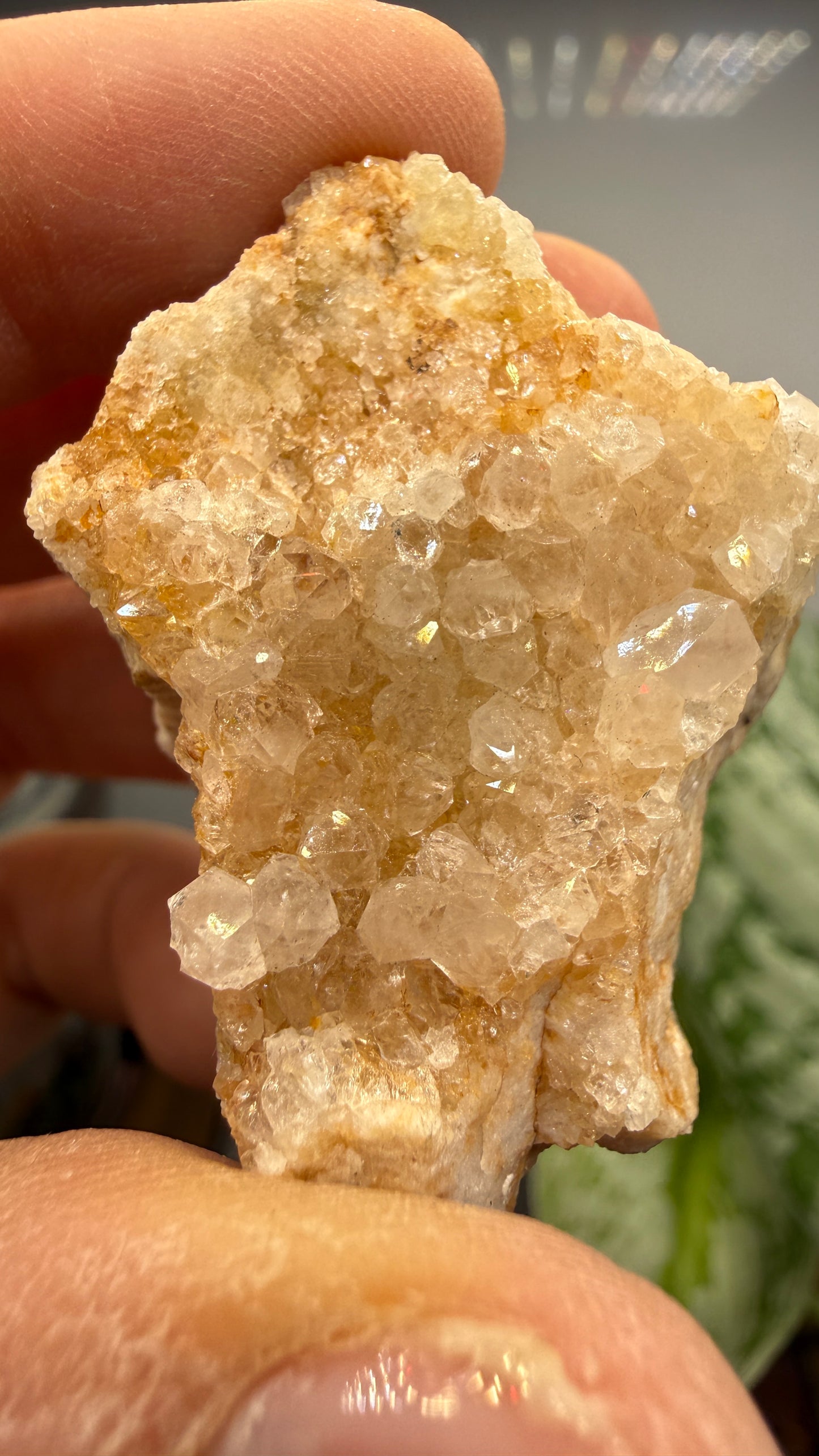 Linarite- Bingham, Hansonburg District, Socorro County, New Mexico, USA