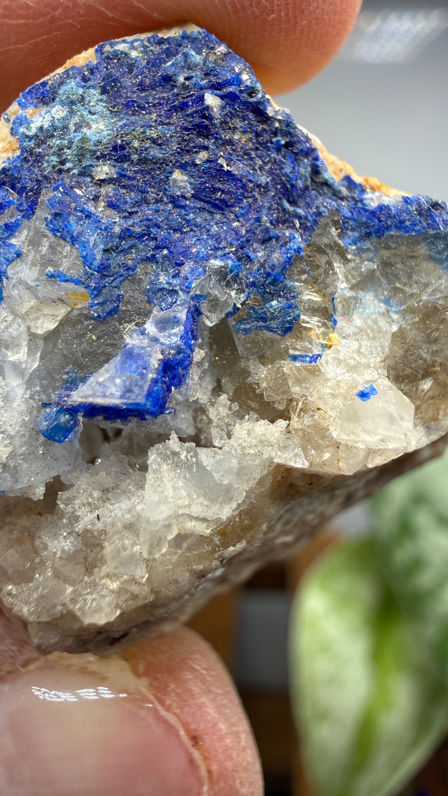Linarite- Bingham, Hansonburg District, Socorro County, New Mexico, USA