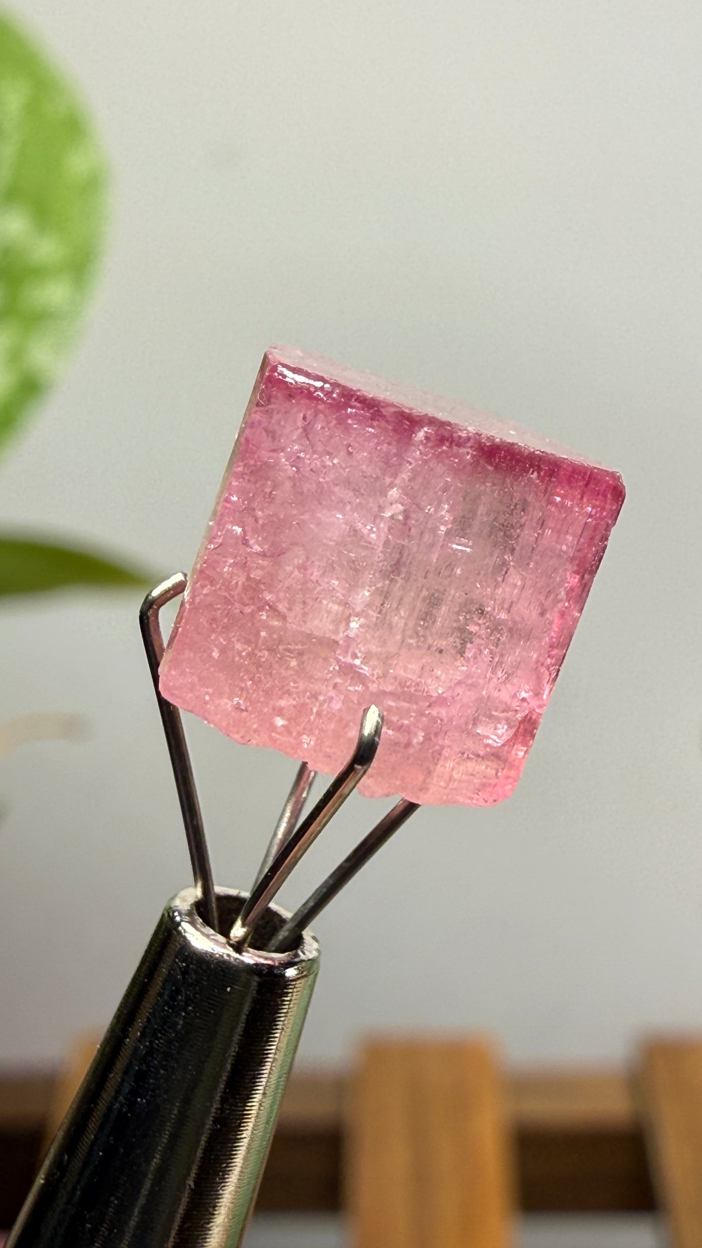 Tourmaline- Água Branca pegmatite, Barra do Salinas, Coronel Murta, Minas Gerais, Brazil
