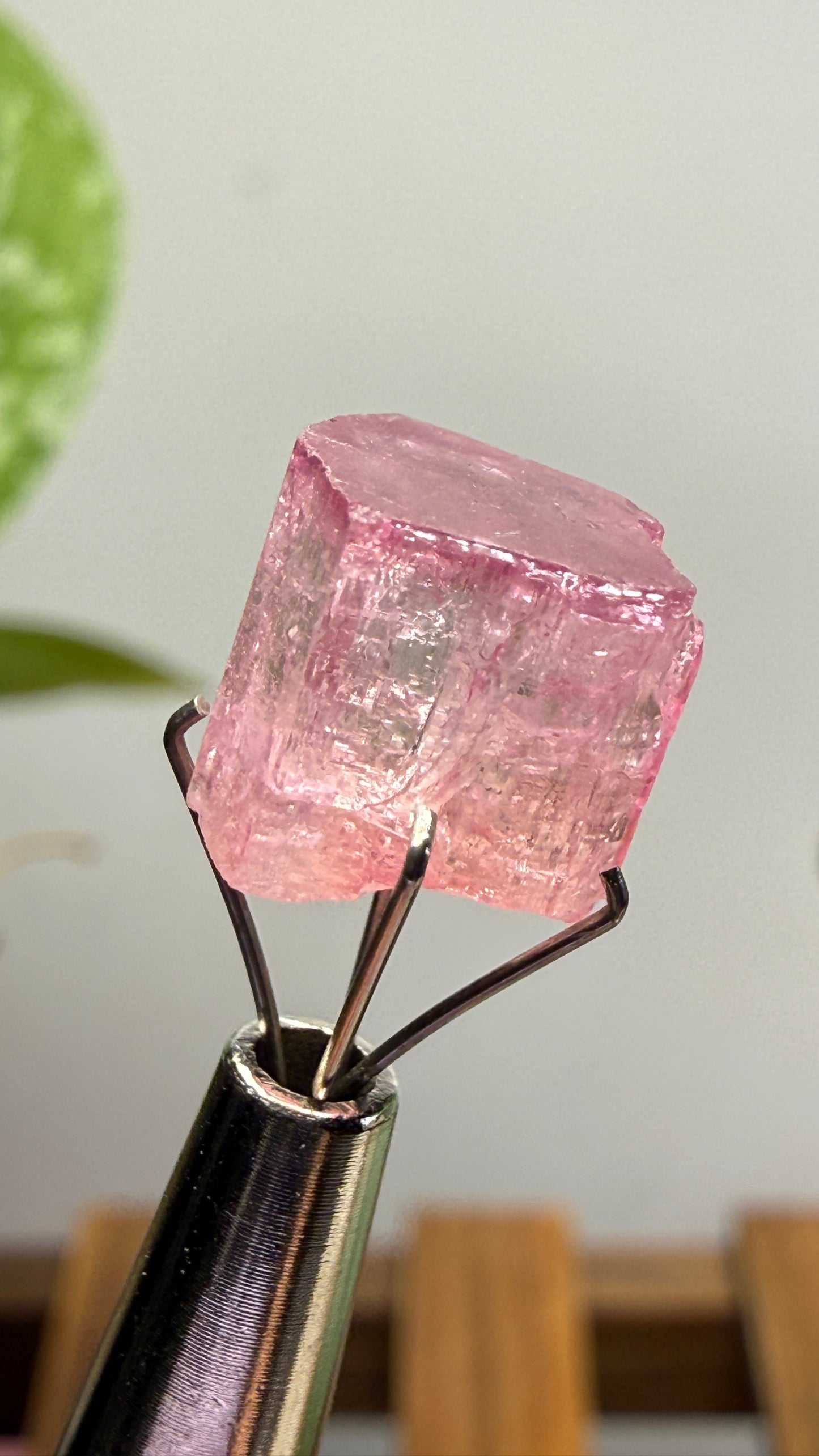 Tourmaline- Água Branca pegmatite, Barra do Salinas, Coronel Murta, Minas Gerais, Brazil