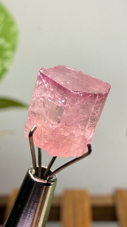 Tourmaline- Água Branca pegmatite, Barra do Salinas, Coronel Murta, Minas Gerais, Brazil