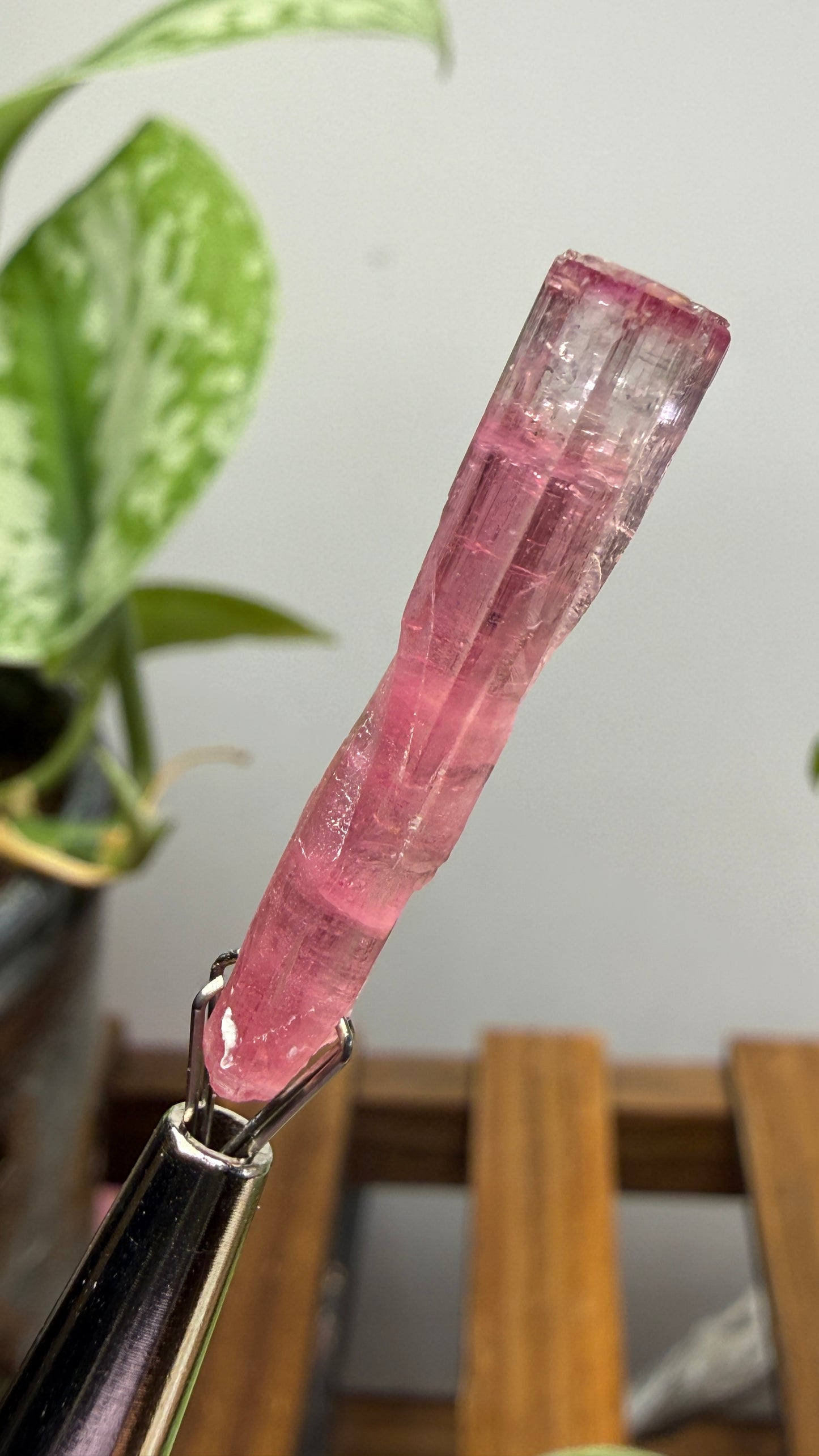 Tourmaline- Água Branca pegmatite, Barra do Salinas, Coronel Murta, Minas Gerais, Brazil