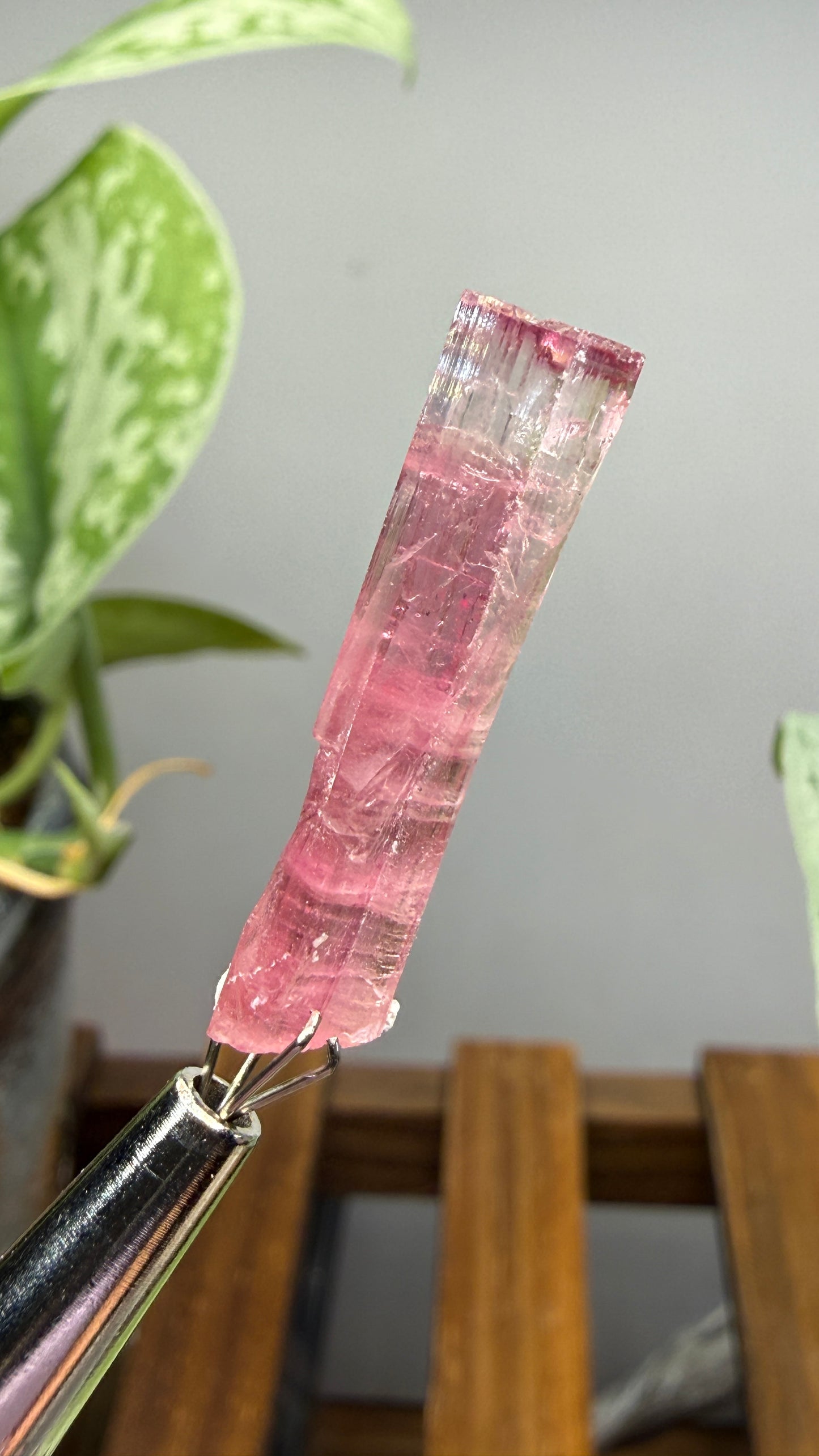 Tourmaline- Água Branca pegmatite, Barra do Salinas, Coronel Murta, Minas Gerais, Brazil