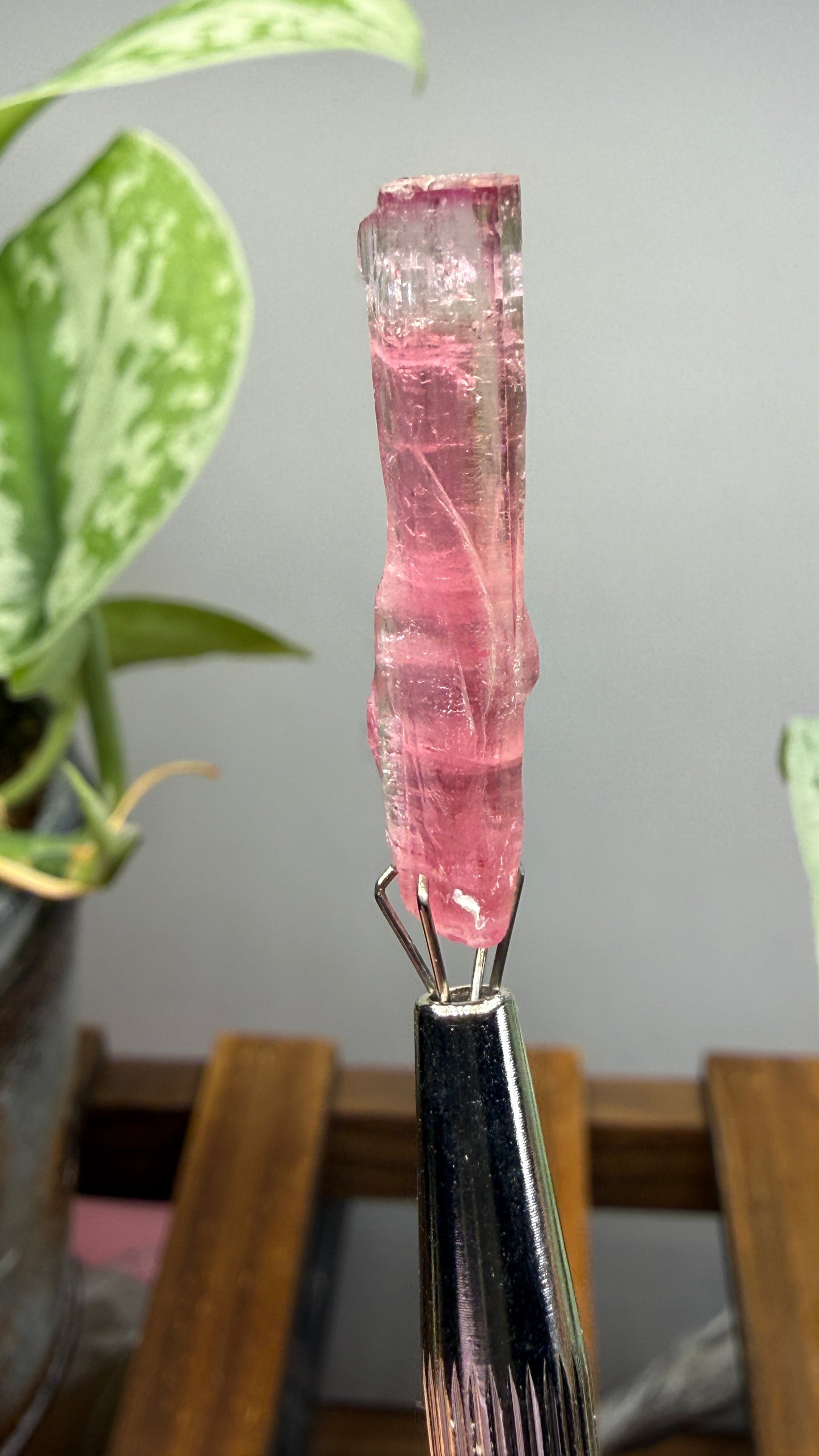 Tourmaline- Água Branca pegmatite, Barra do Salinas, Coronel Murta, Minas Gerais, Brazil