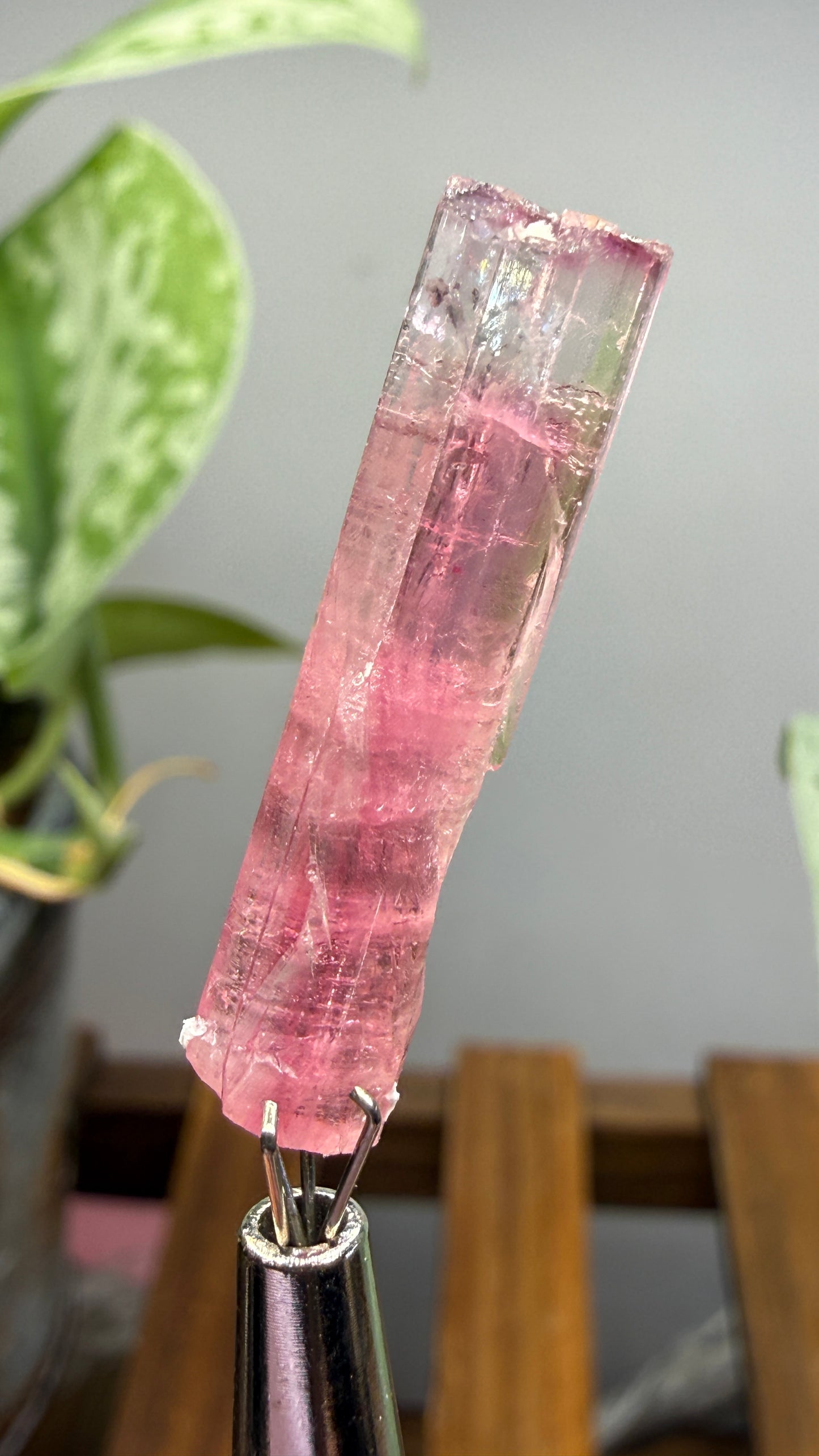 Tourmaline- Água Branca pegmatite, Barra do Salinas, Coronel Murta, Minas Gerais, Brazil