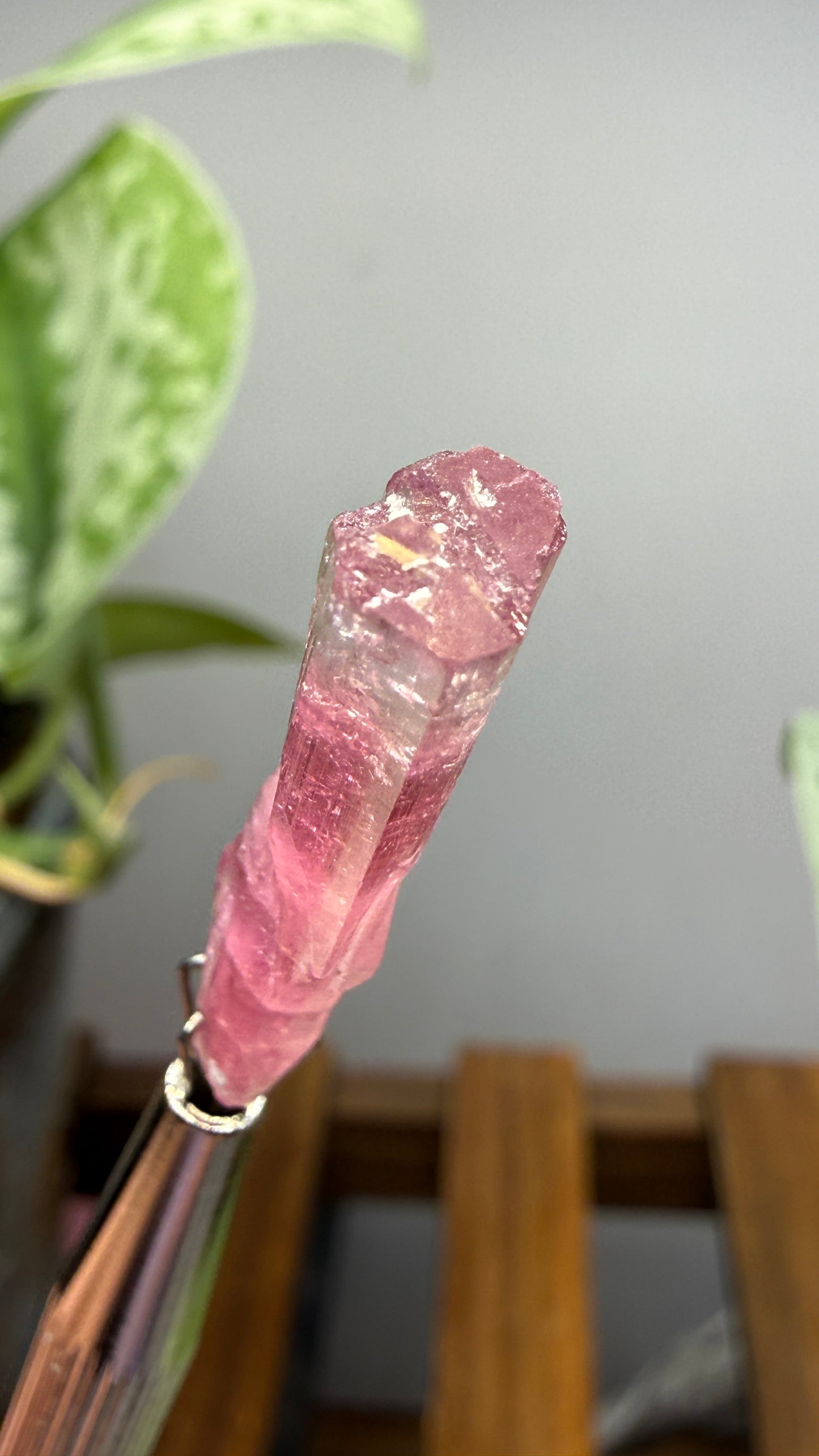 Tourmaline- Água Branca pegmatite, Barra do Salinas, Coronel Murta, Minas Gerais, Brazil