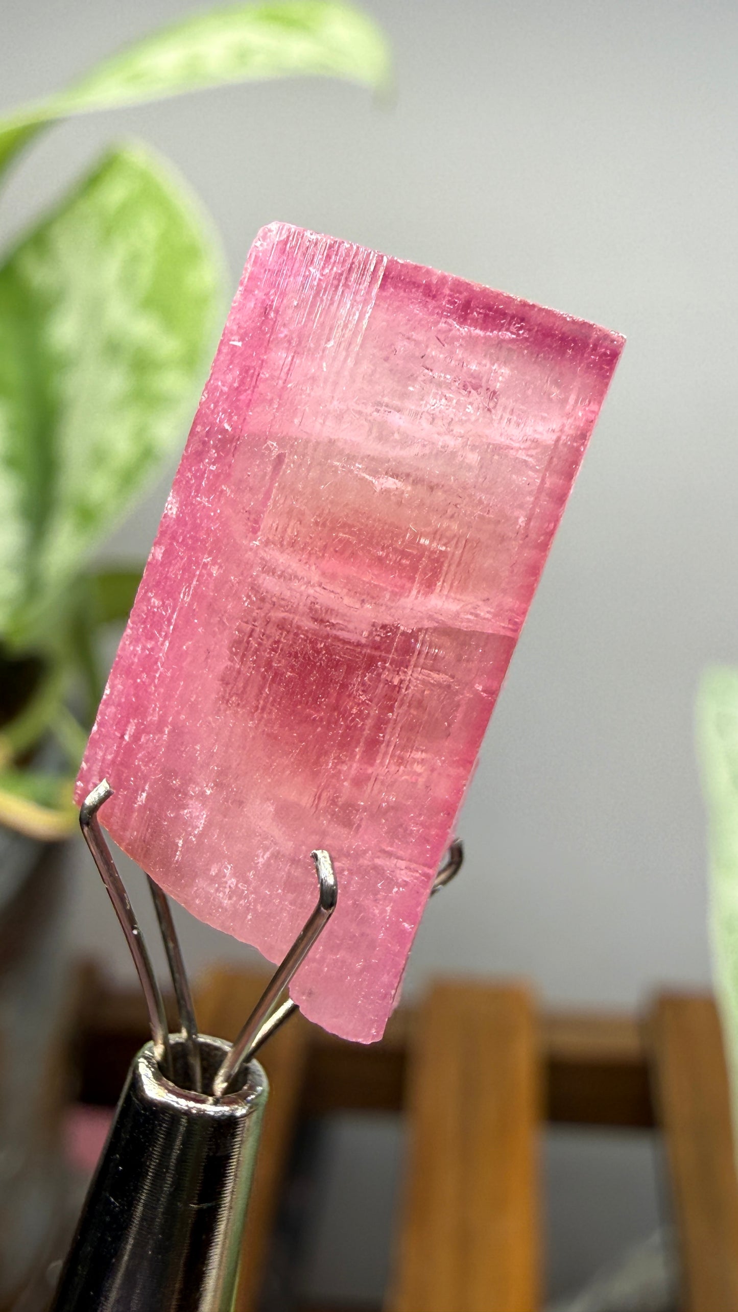 Tourmaline- Água Branca pegmatite, Barra do Salinas, Coronel Murta, Minas Gerais, Brazil