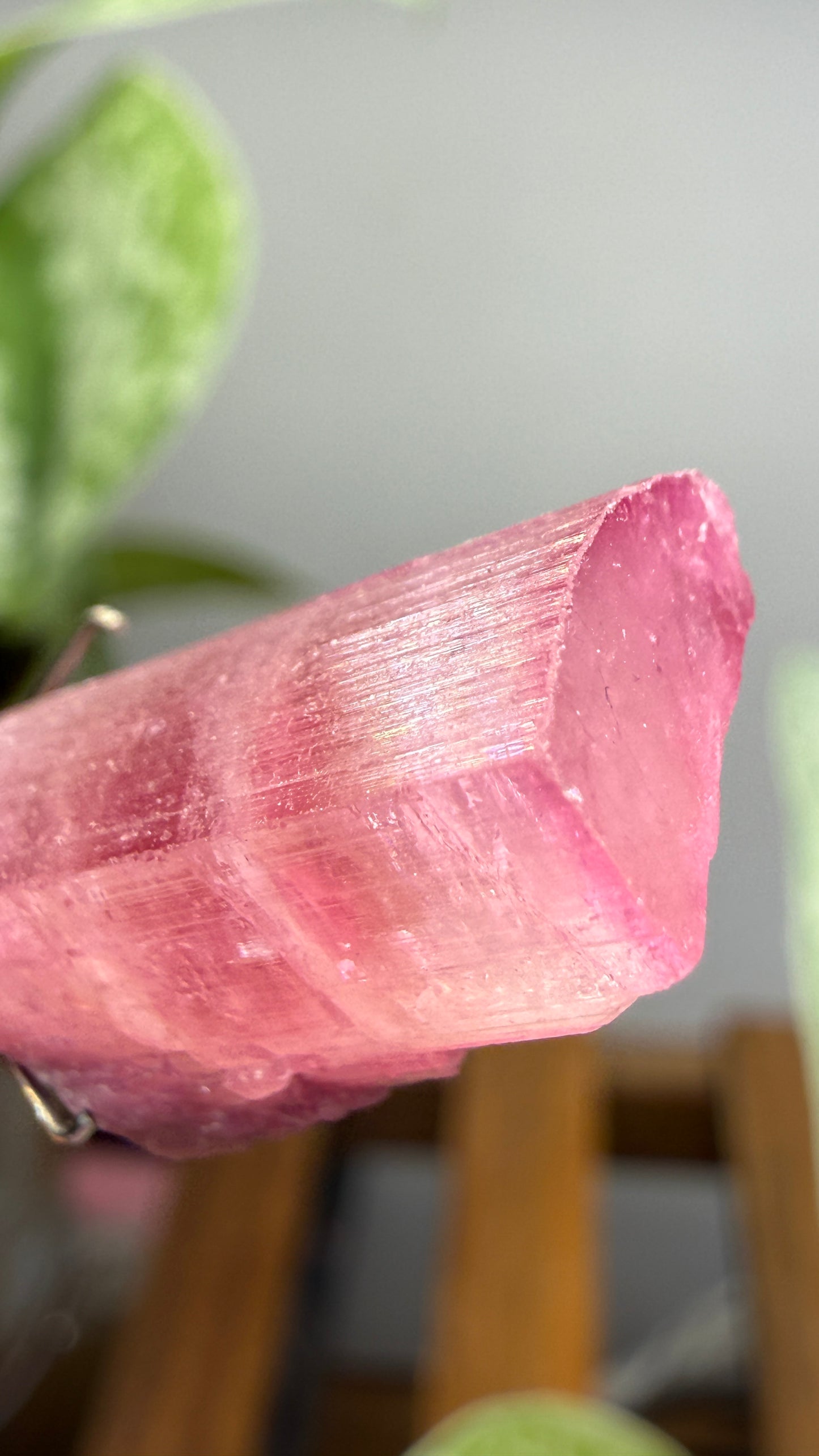 Tourmaline- Água Branca pegmatite, Barra do Salinas, Coronel Murta, Minas Gerais, Brazil