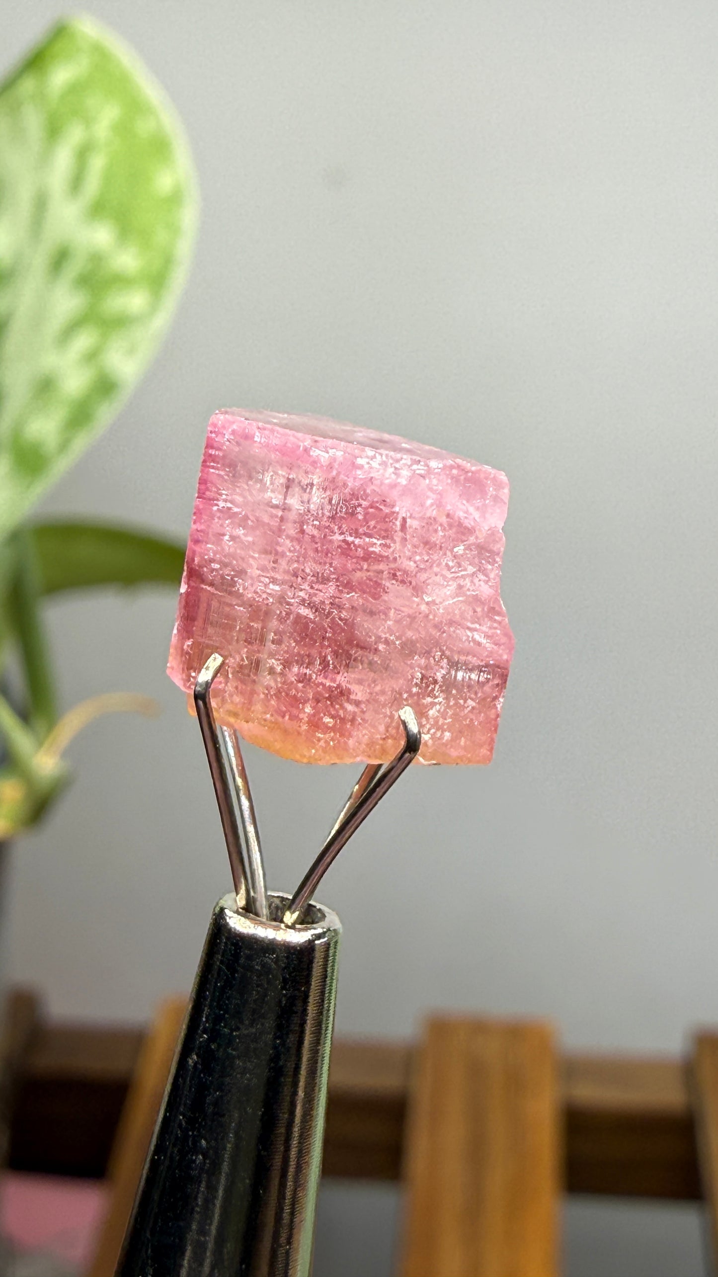 Tourmaline- Água Branca pegmatite, Barra do Salinas, Coronel Murta, Minas Gerais, Brazil