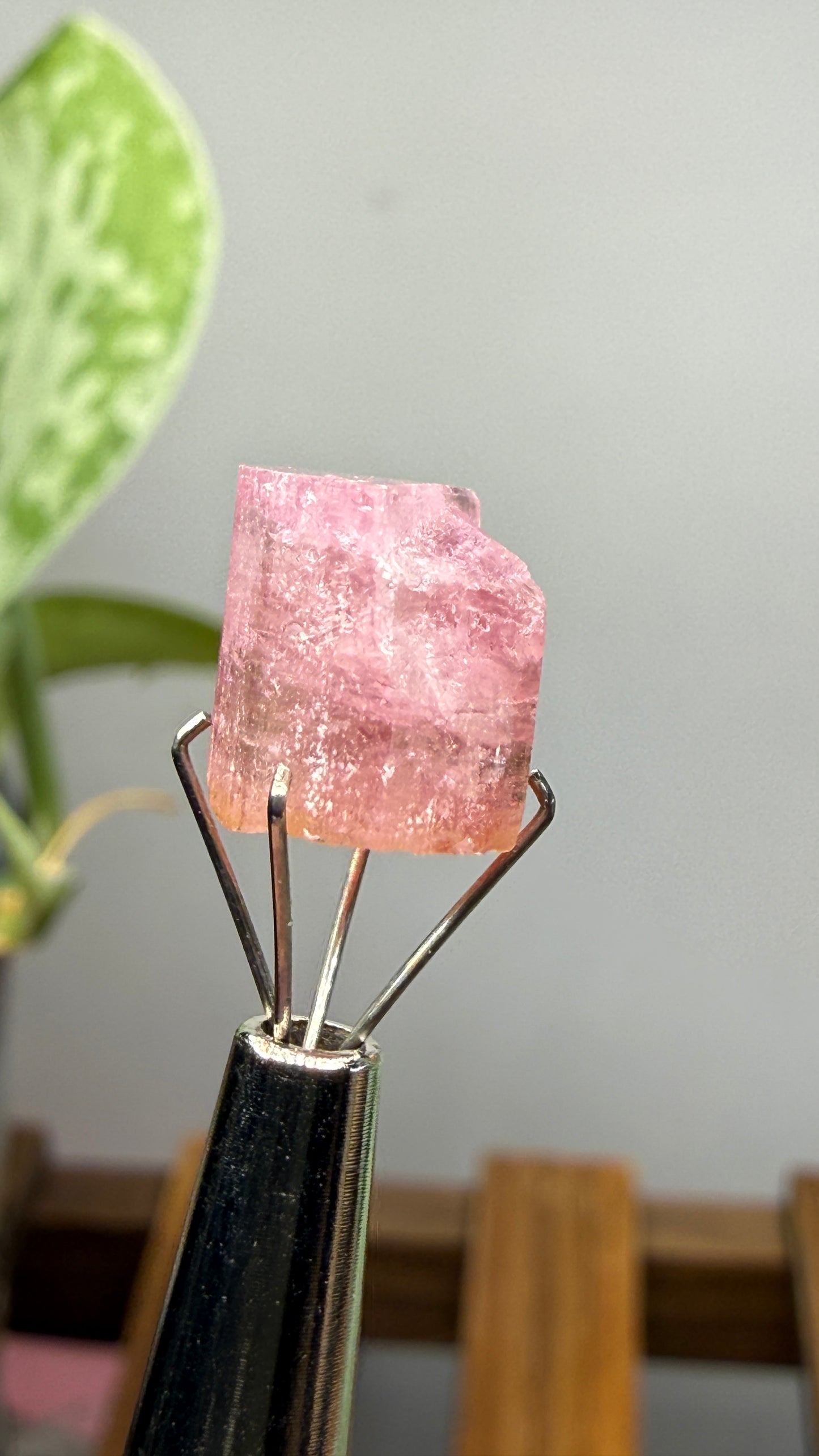 Tourmaline- Água Branca pegmatite, Barra do Salinas, Coronel Murta, Minas Gerais, Brazil