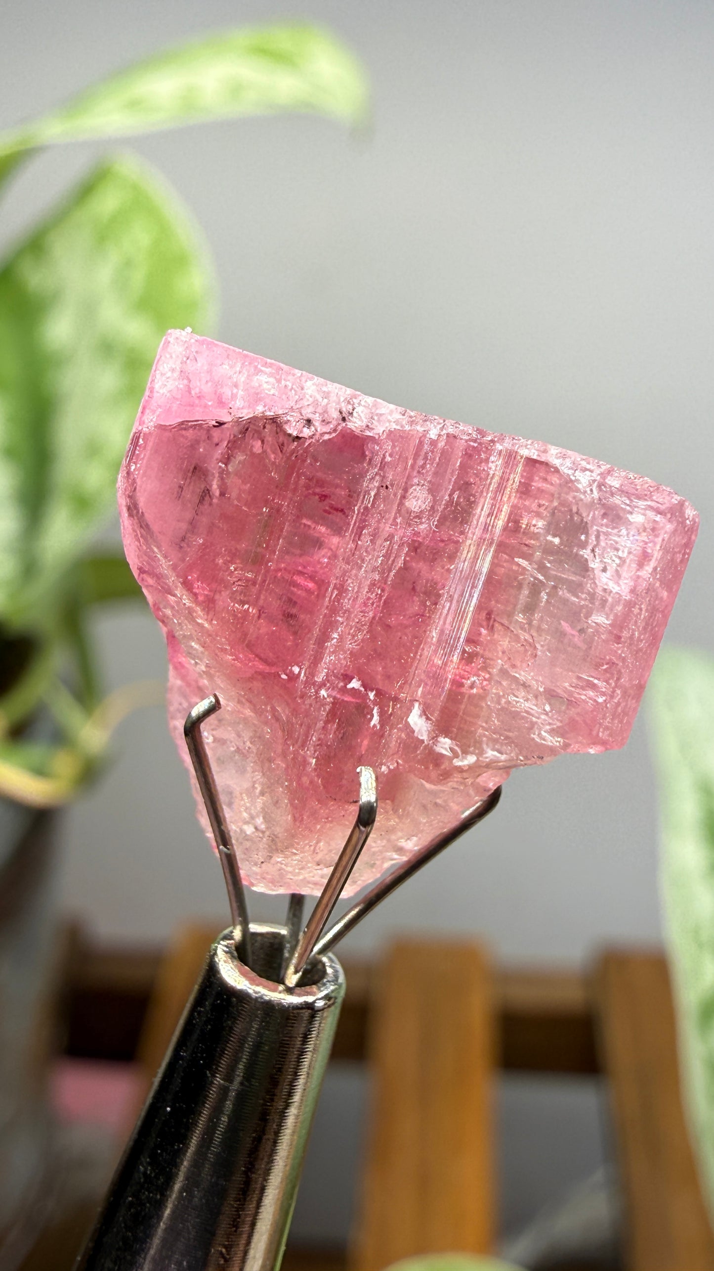 Tourmaline- Água Branca pegmatite, Barra do Salinas, Coronel Murta, Minas Gerais, Brazil
