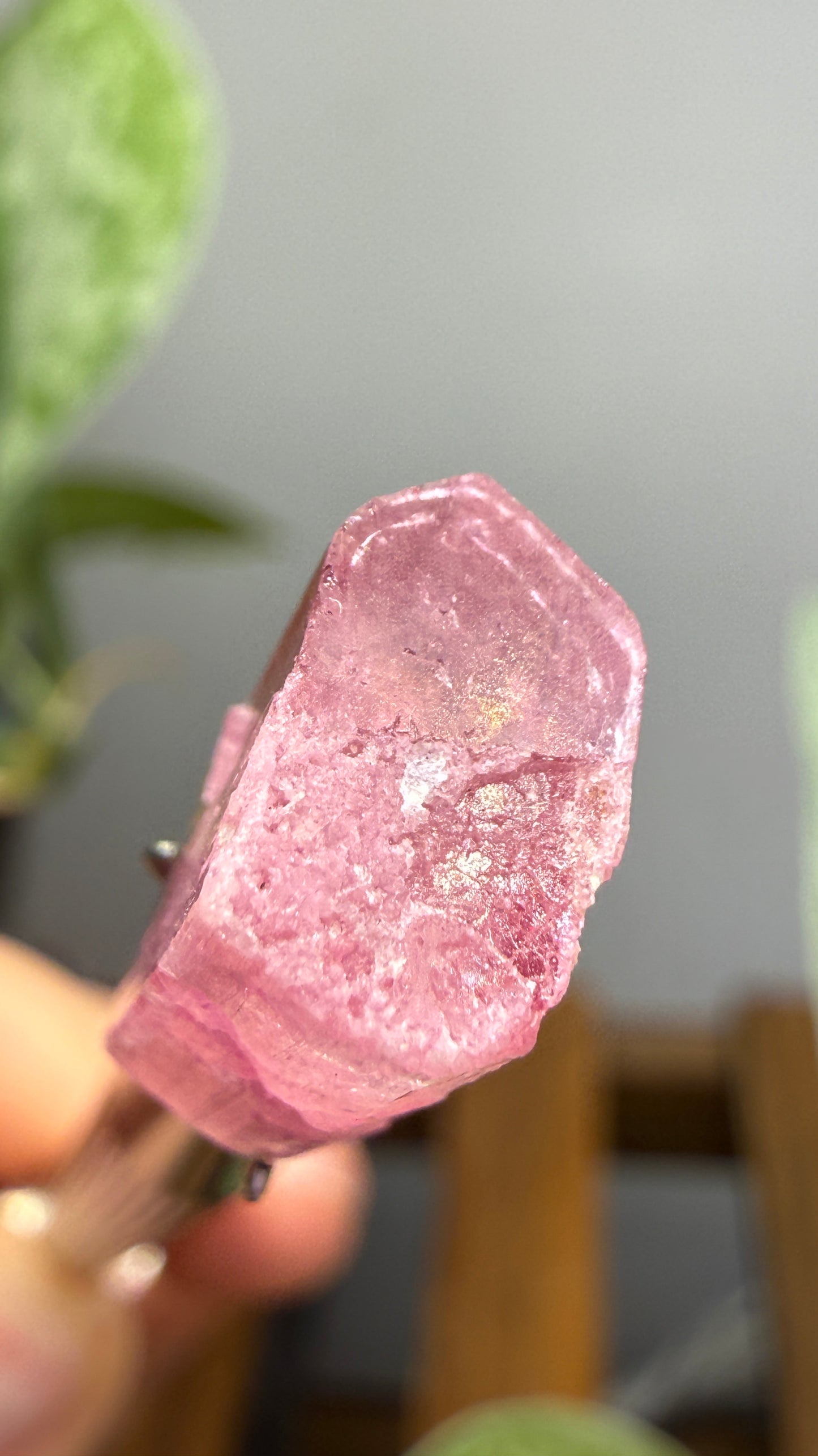 Tourmaline- Água Branca pegmatite, Barra do Salinas, Coronel Murta, Minas Gerais, Brazil