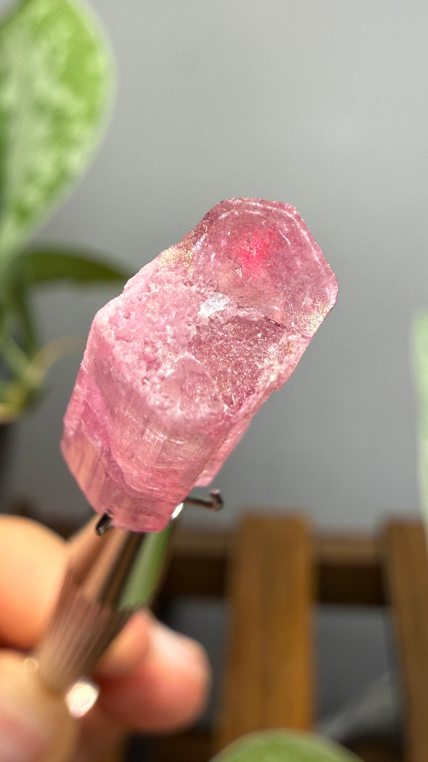 Tourmaline- Água Branca pegmatite, Barra do Salinas, Coronel Murta, Minas Gerais, Brazil