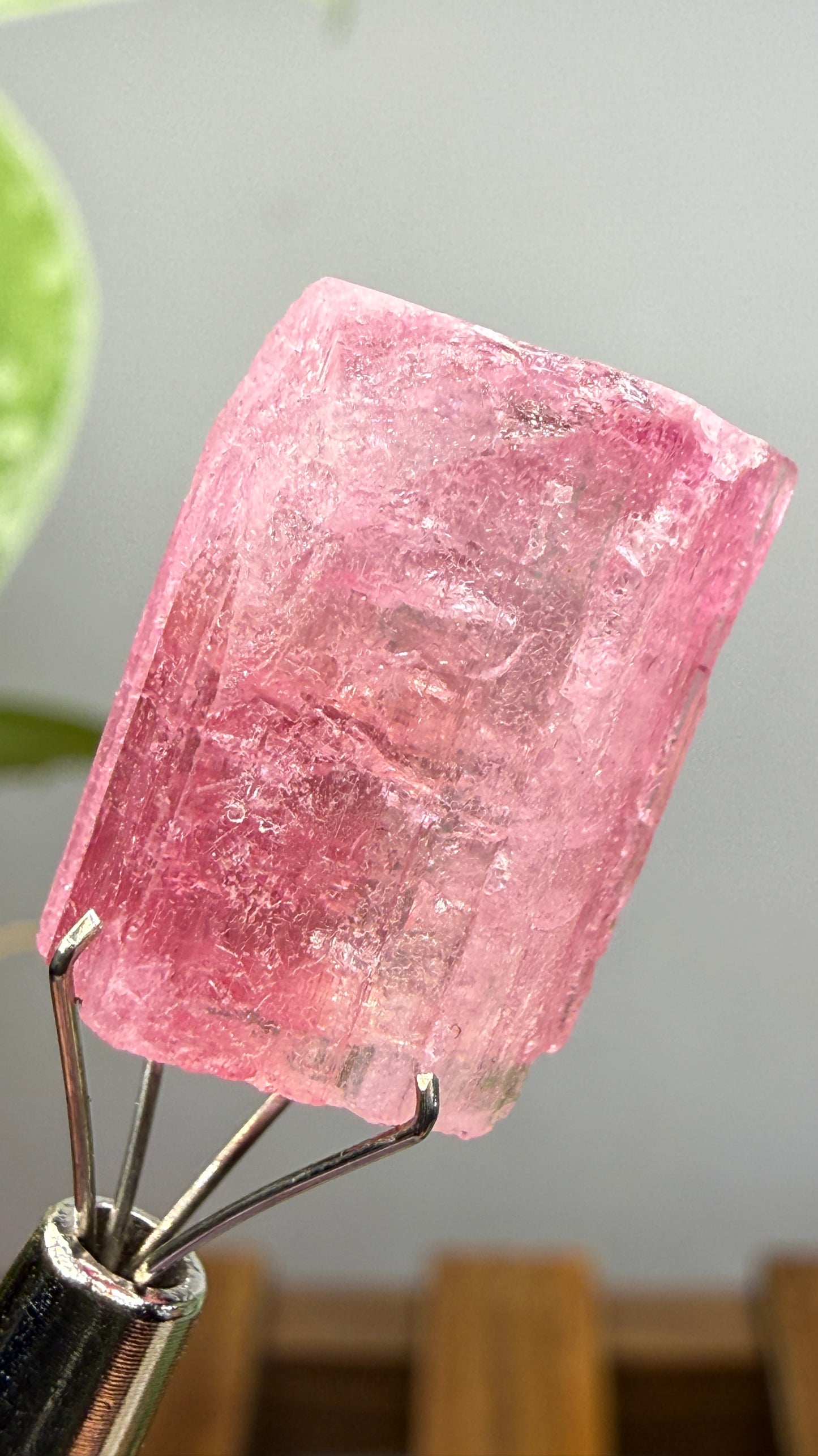 Tourmaline- Água Branca pegmatite, Barra do Salinas, Coronel Murta, Minas Gerais, Brazil