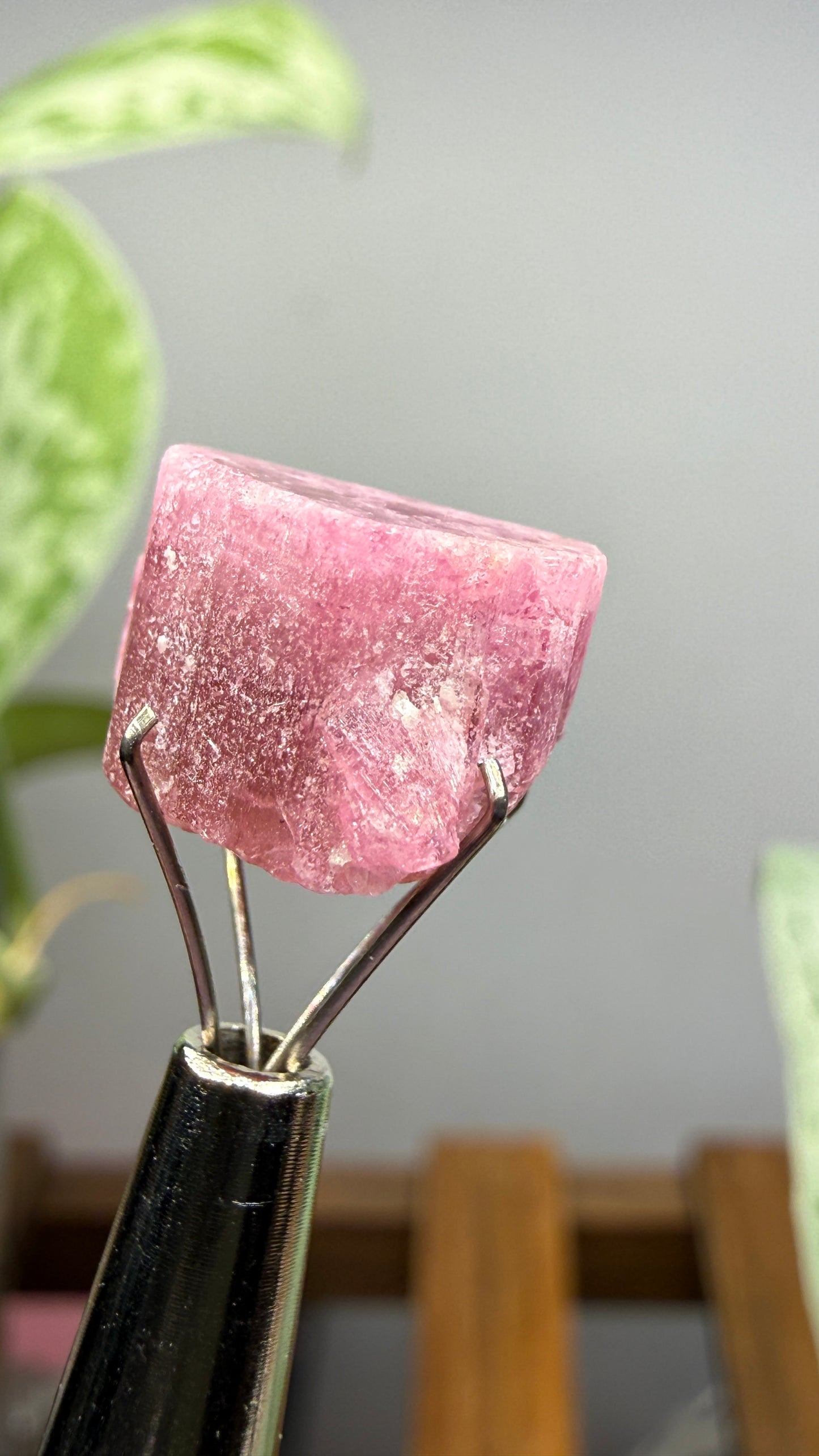 Tourmaline- Água Branca pegmatite, Barra do Salinas, Coronel Murta, Minas Gerais, Brazil
