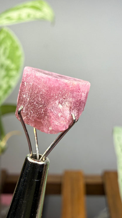 Tourmaline- Água Branca pegmatite, Barra do Salinas, Coronel Murta, Minas Gerais, Brazil