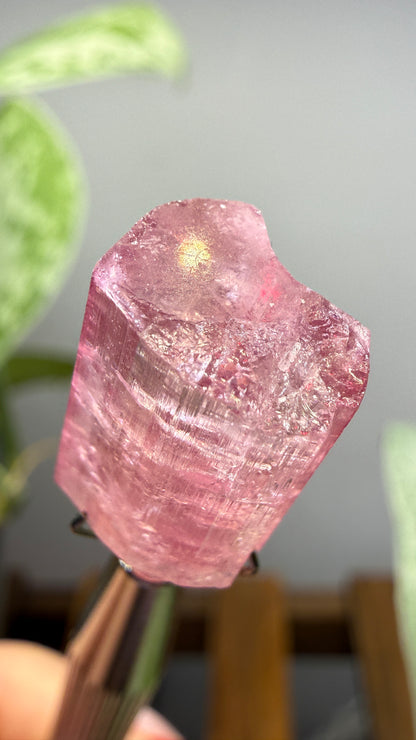 Tourmaline- Água Branca pegmatite, Barra do Salinas, Coronel Murta, Minas Gerais, Brazil
