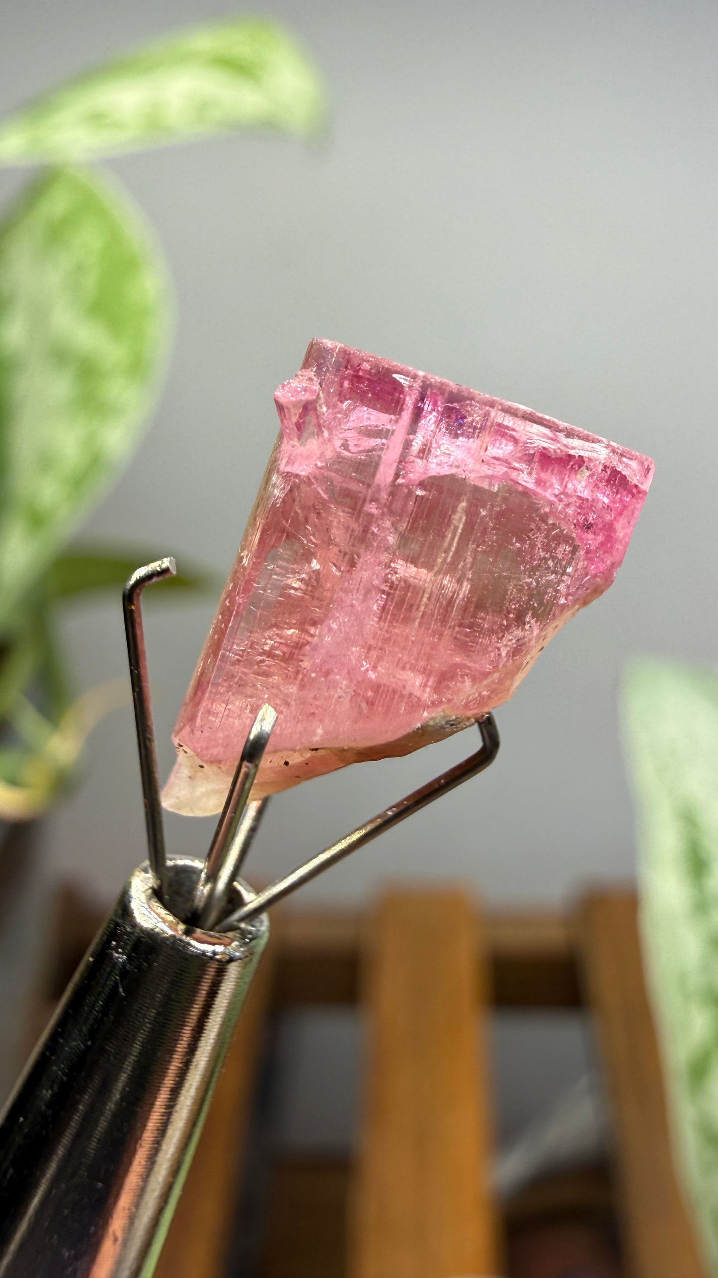 Tourmaline- Água Branca pegmatite, Barra do Salinas, Coronel Murta, Minas Gerais, Brazil