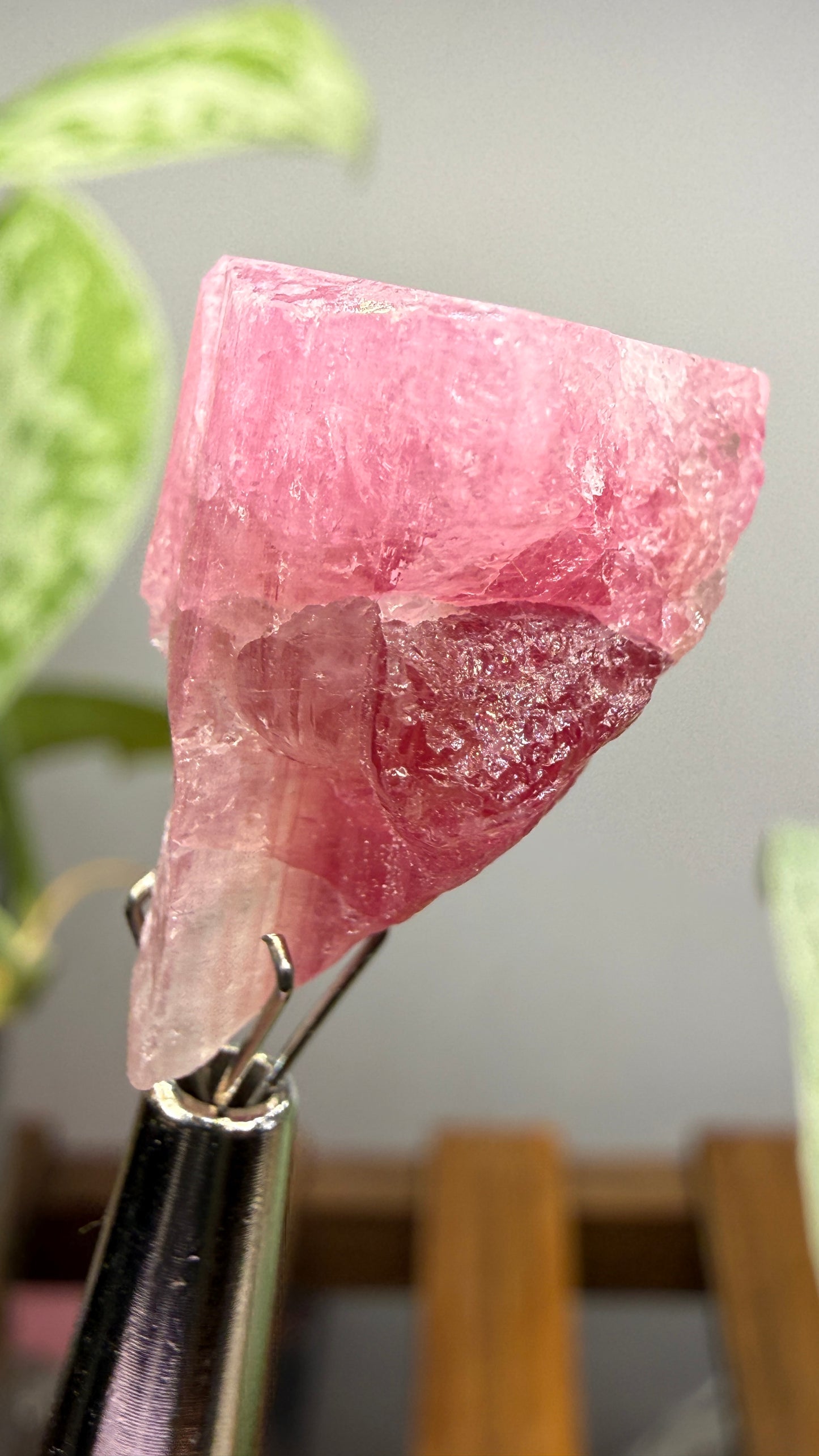 Tourmaline- Água Branca pegmatite, Barra do Salinas, Coronel Murta, Minas Gerais, Brazil